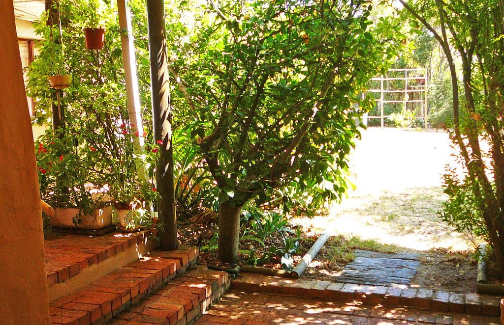 Vineyards Country Home Guest Room Blomtuin Esterno foto